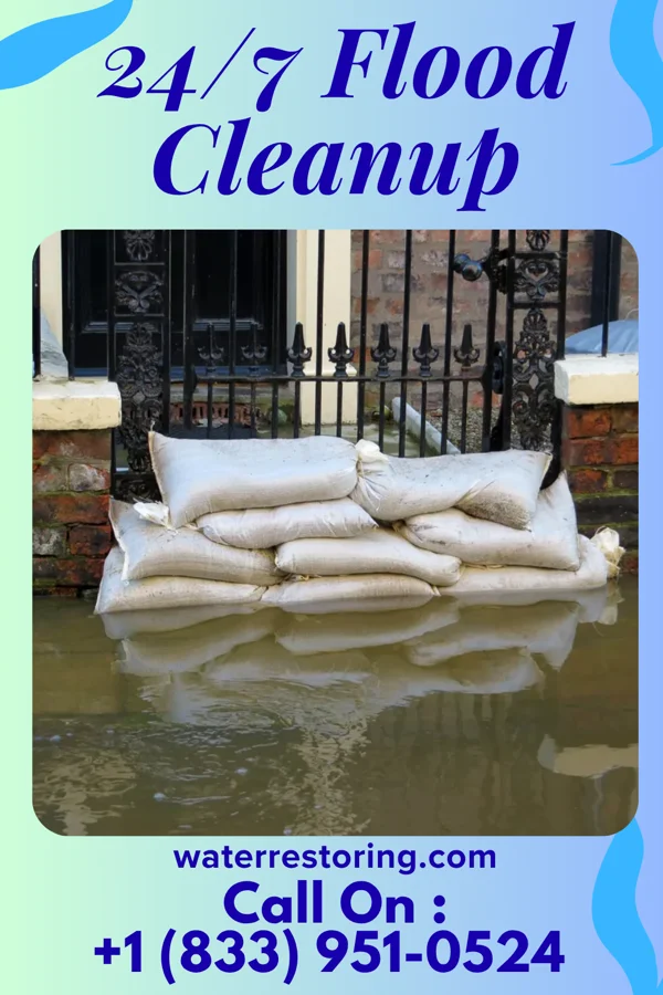 24/7 Flood Cleanup in Tchula, MS