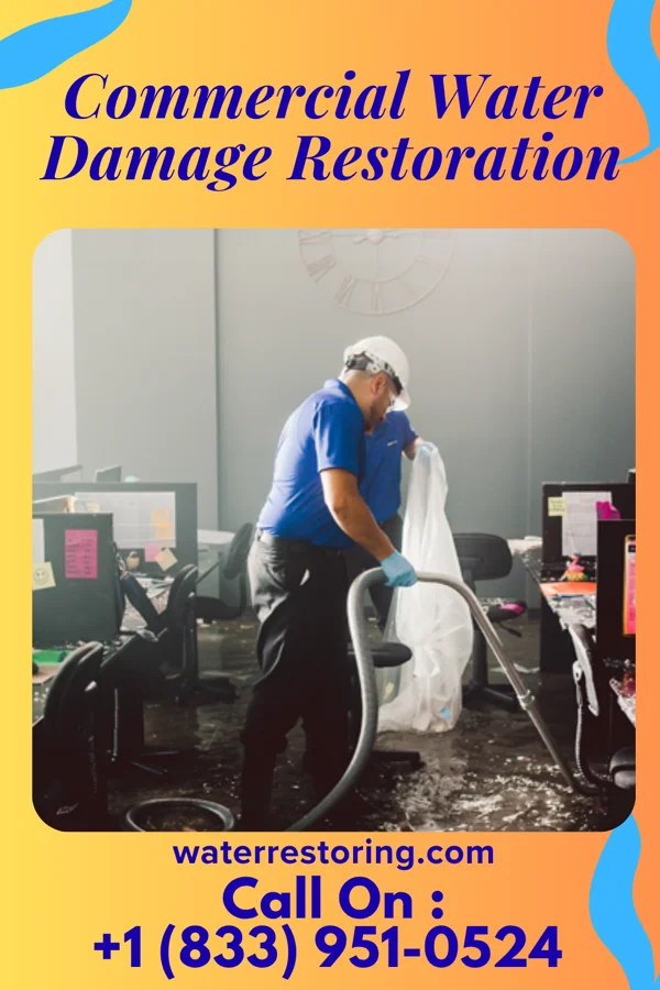 Commercial Water Damage Restoration in Tchula, MS