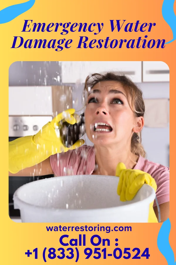 Emergency Water Damage Restoration in Tchula, MS