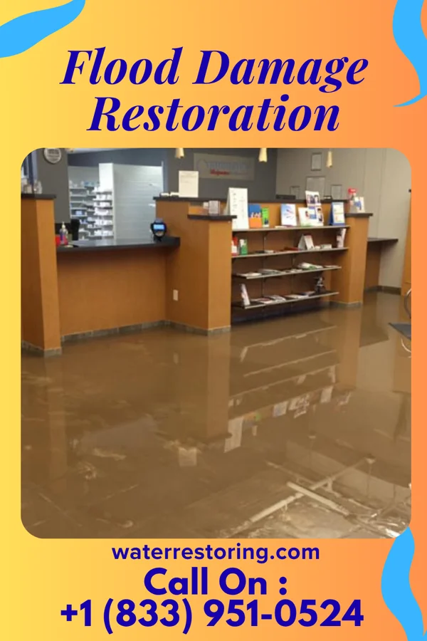 Flood Damage Restoration in Tchula, MS