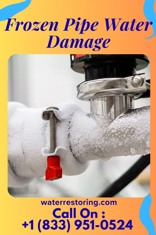 Frozen Pipe Water Damage in Tchula, MS