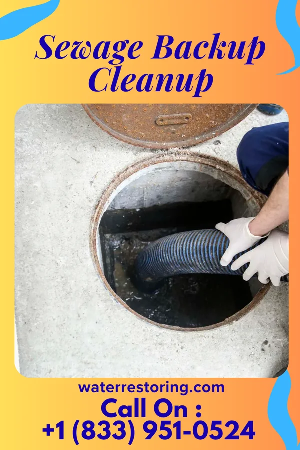 Sewage Backup Cleanup in Tchula, MS